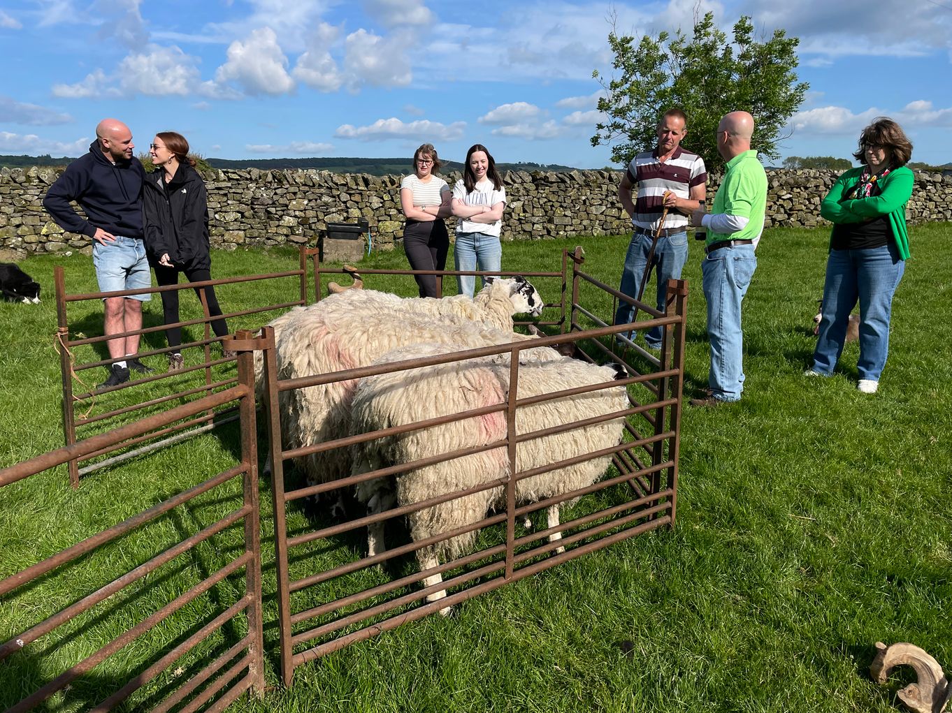 Glamping at Mosedale End Farm