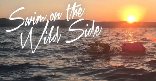 Swim On The Wild Side