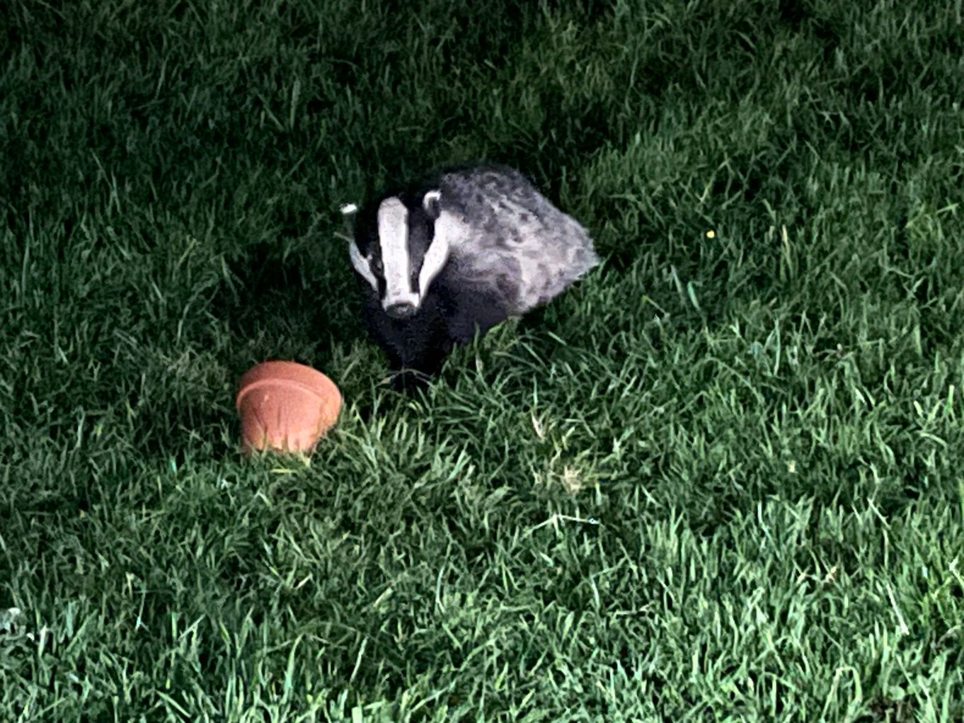 Glamping at Mosedale End Farm