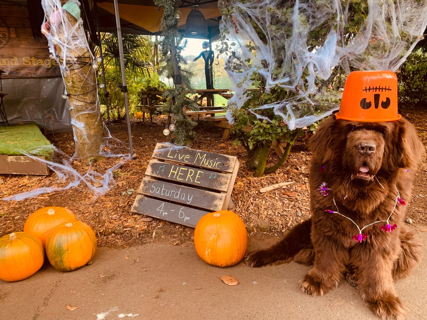 Halloween Park Trail