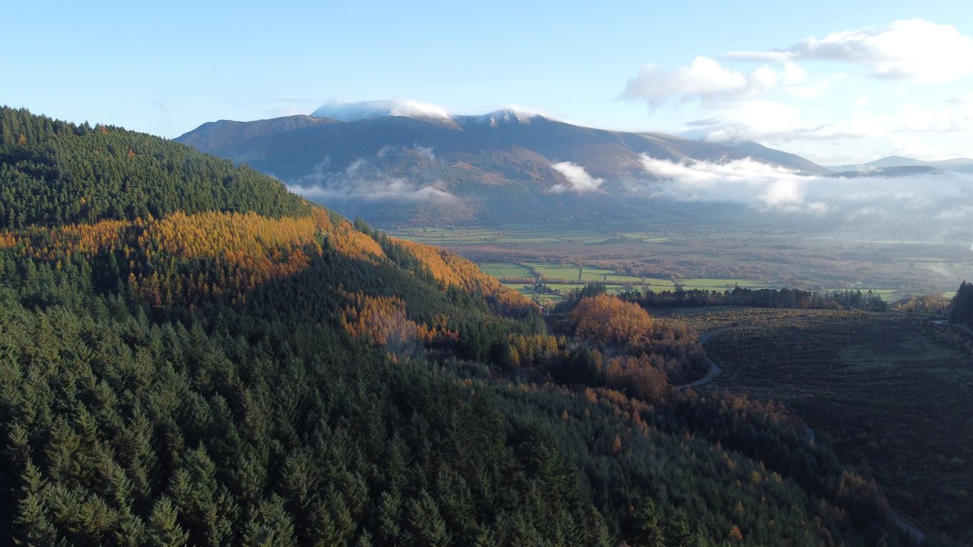 whinlatter autumn 1.jpg