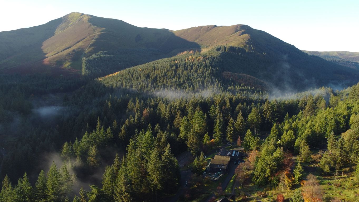 whinlatter autumn 3.jpg