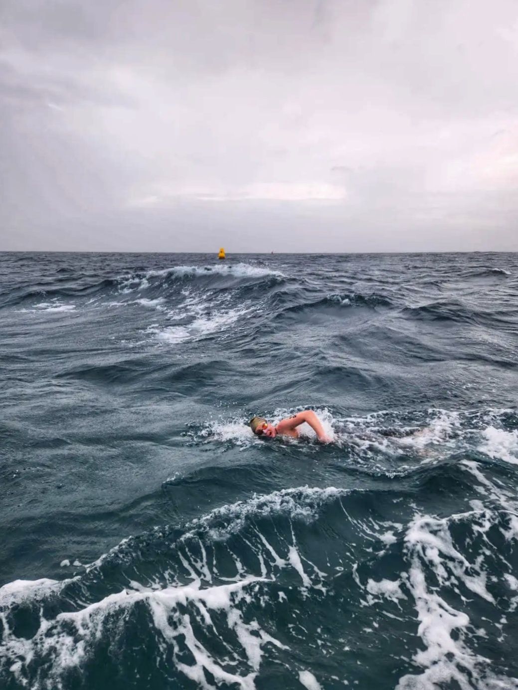 amber keegan swimming off the west coast of australia.jpeg