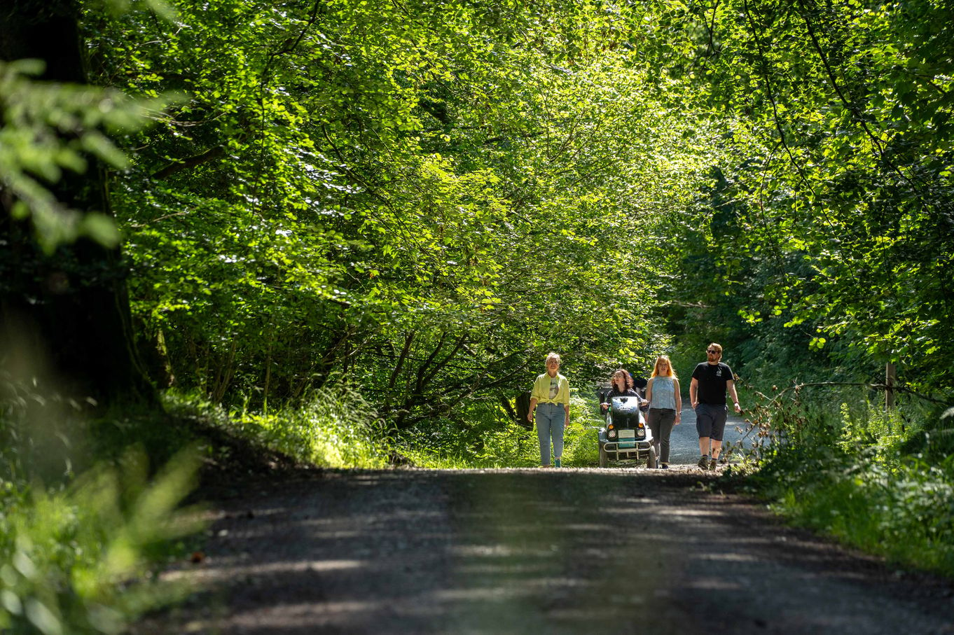 grizedale walking (credit visitlakedistrict.com).jpg