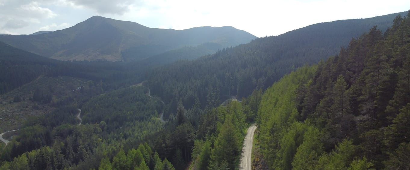 Whinlatter Forest pop up sauna