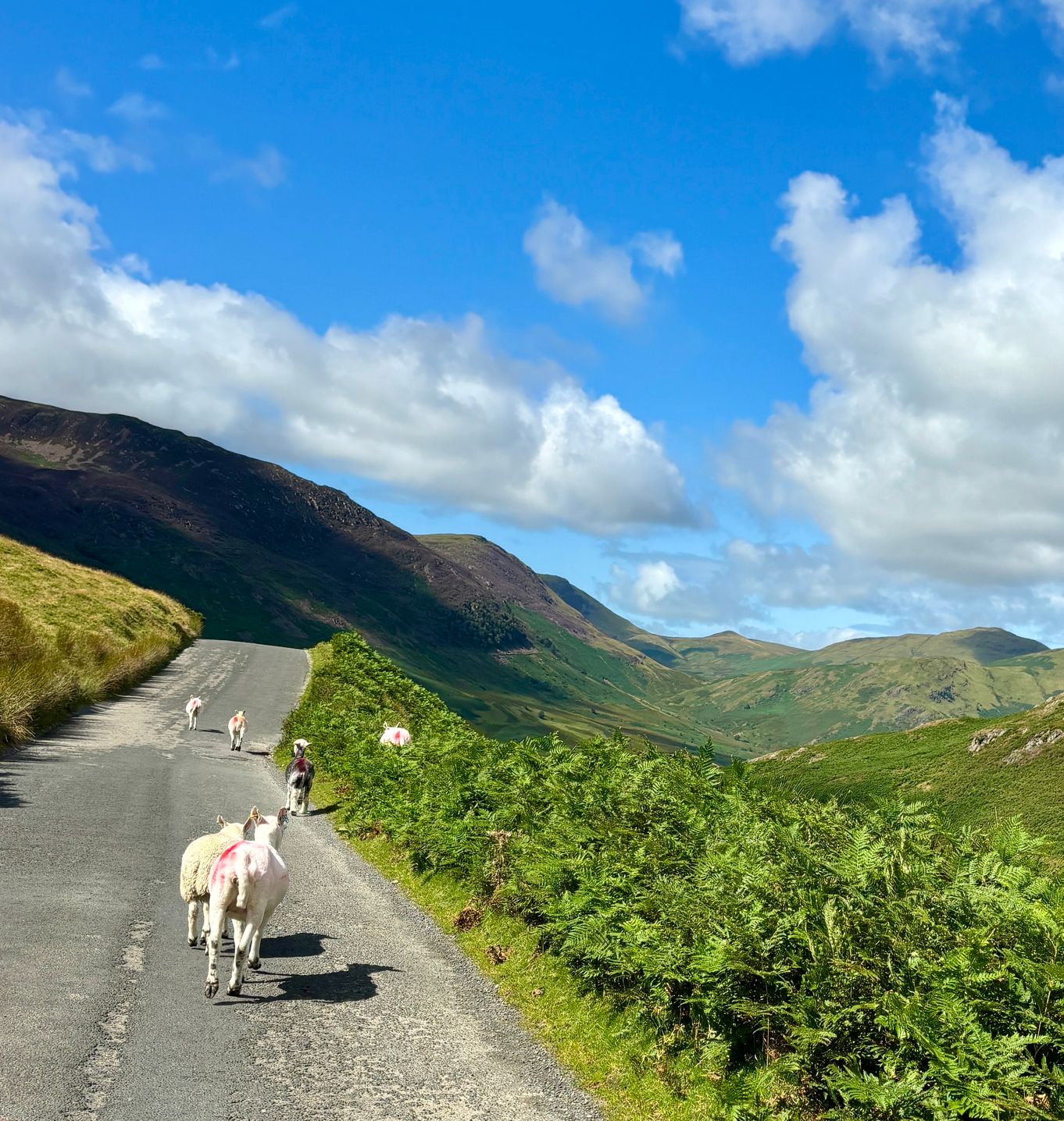 Ultimate Cycling Adventures