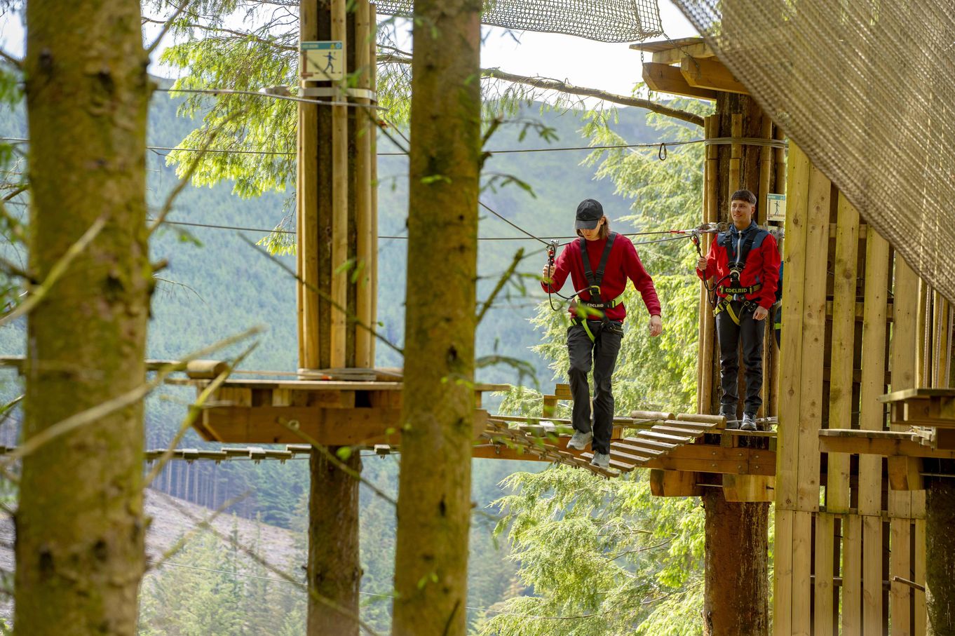 May half term at Go Ape Whinlatter