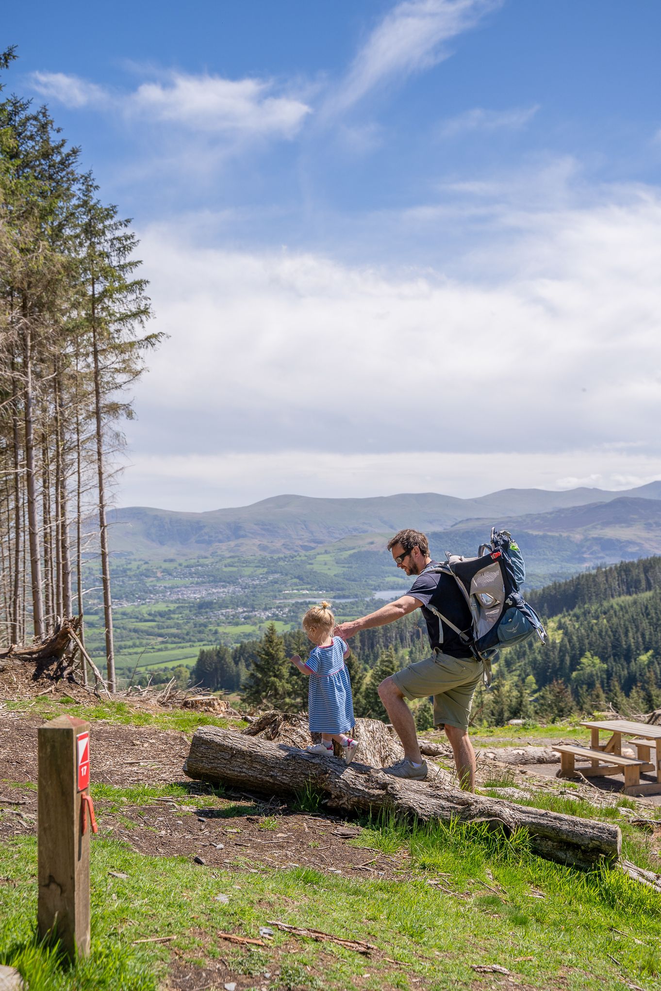 summer activities (credit forestry england_crown copyright)-6.jpg