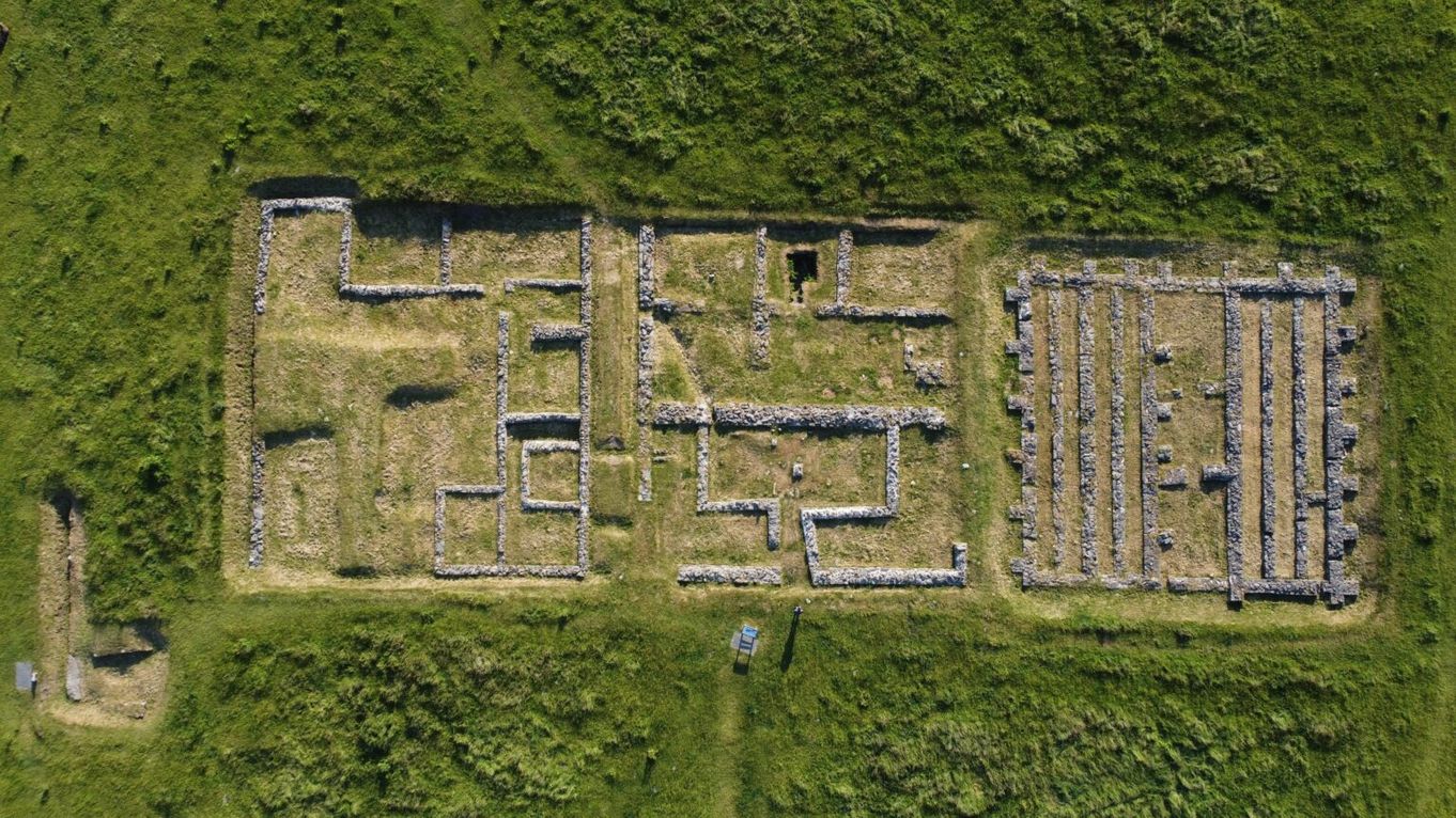 foa2.jpg