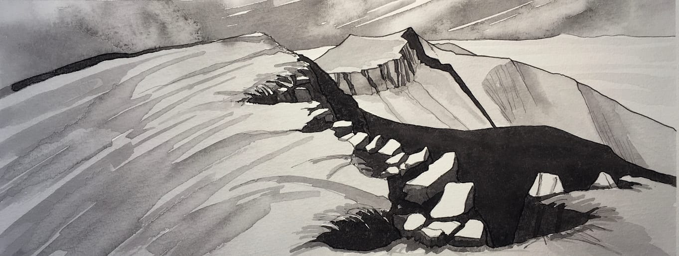 'Unfolding Landscapes in Natural Inks' with Tim Watson 