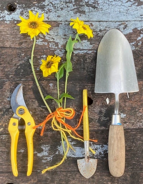 Gardening for the Terrified' short course with Shelagh Todd - lecturer, garden designer & plantswoman. 