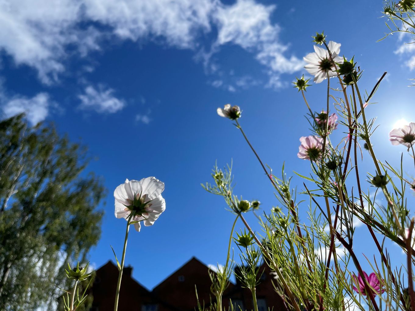 'Green and Overflowing with Life': The Wordsworths and a love of gardens