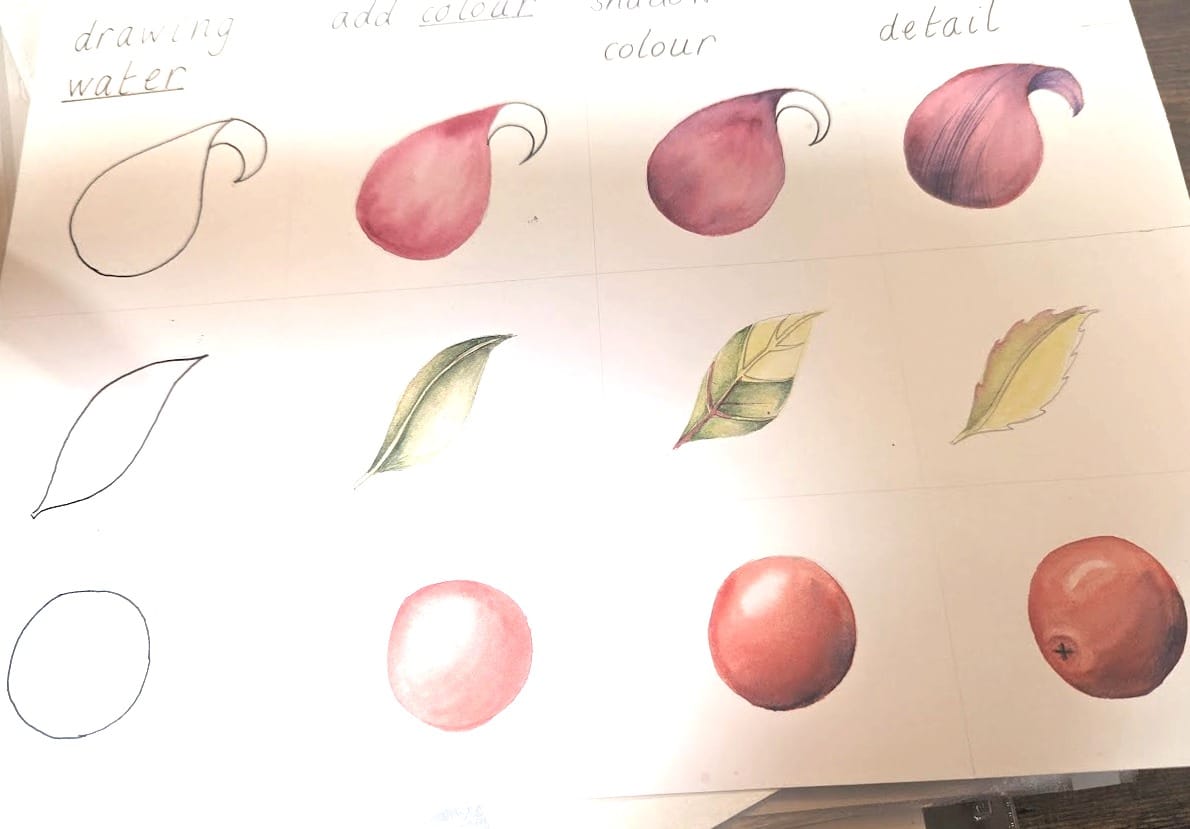 'Botanical Art for the Terrified' with Lis Bramwell