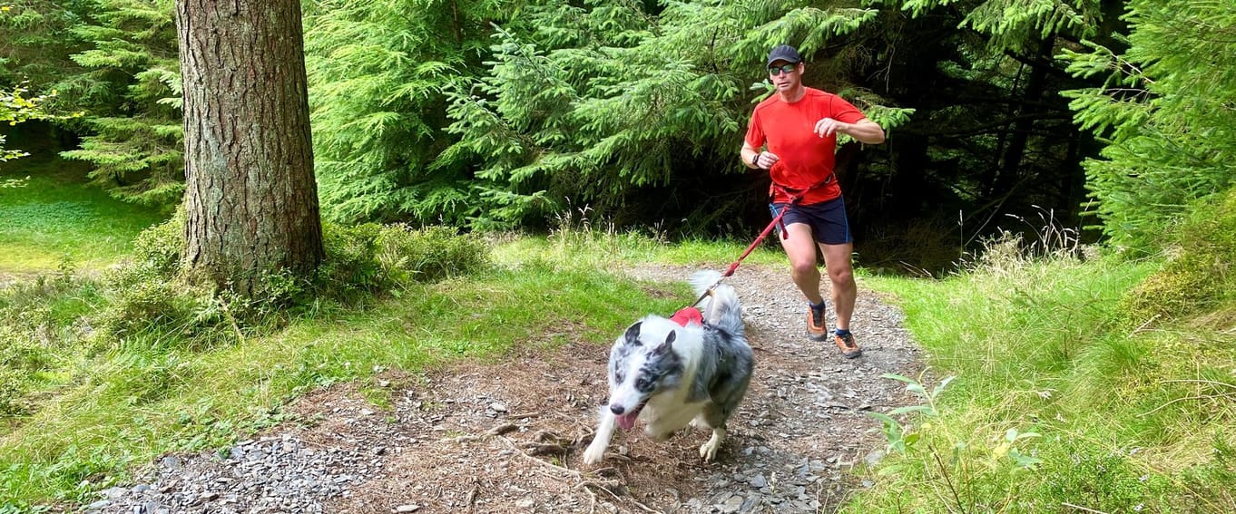 Lakeland Paws canicross series