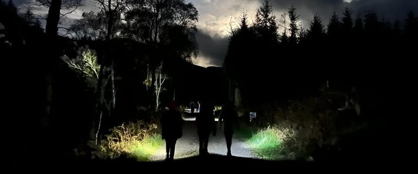 Dark skies walk
