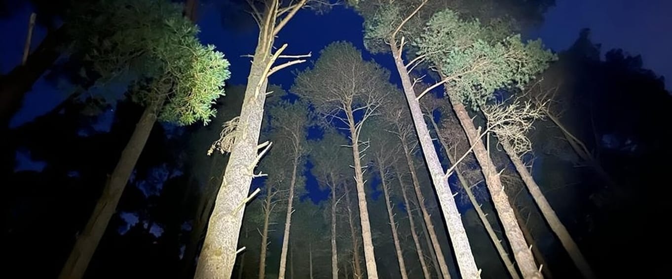 Dark skies adventure fell walk