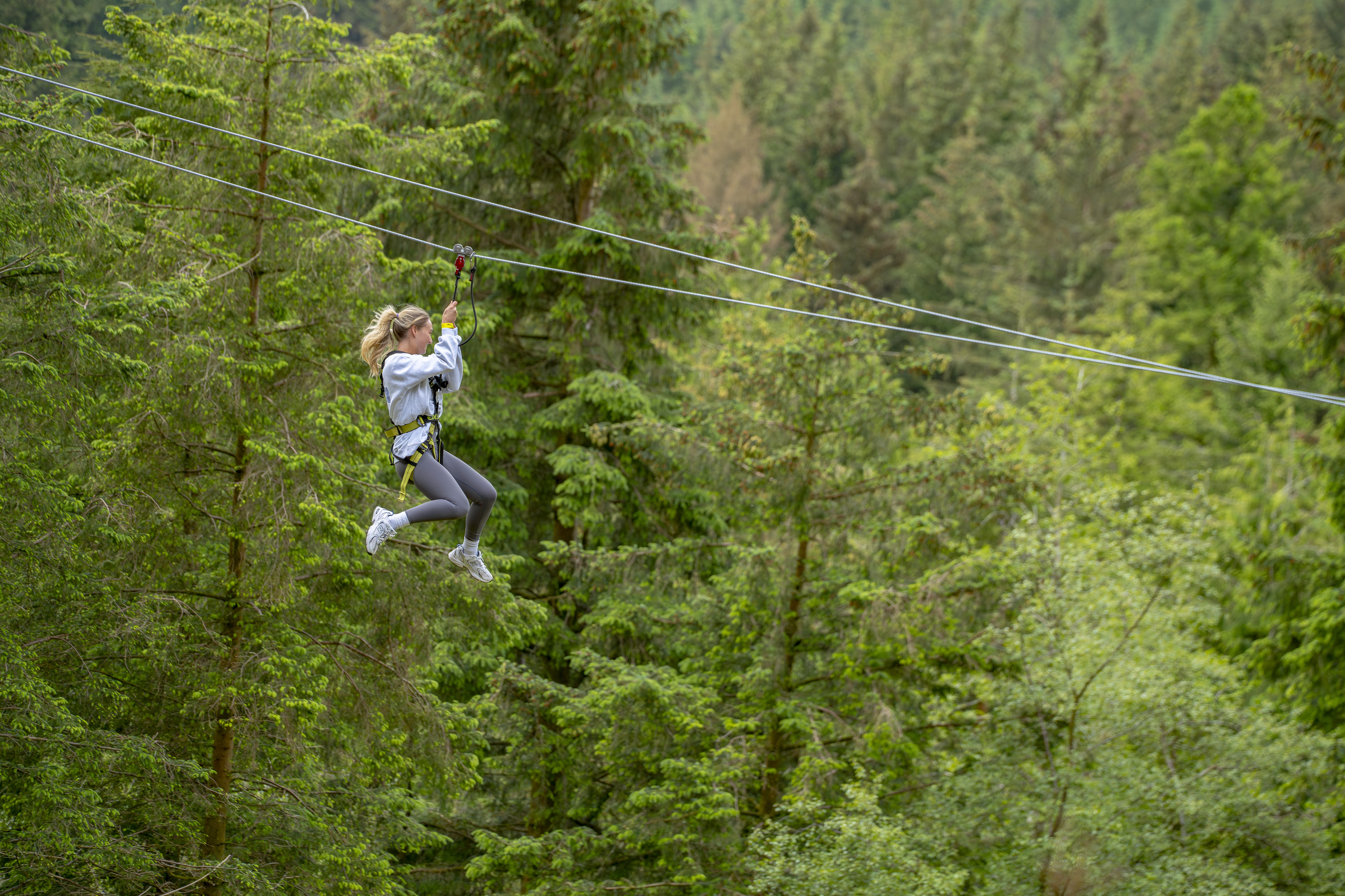 October half term at Go Ape Whinlatter