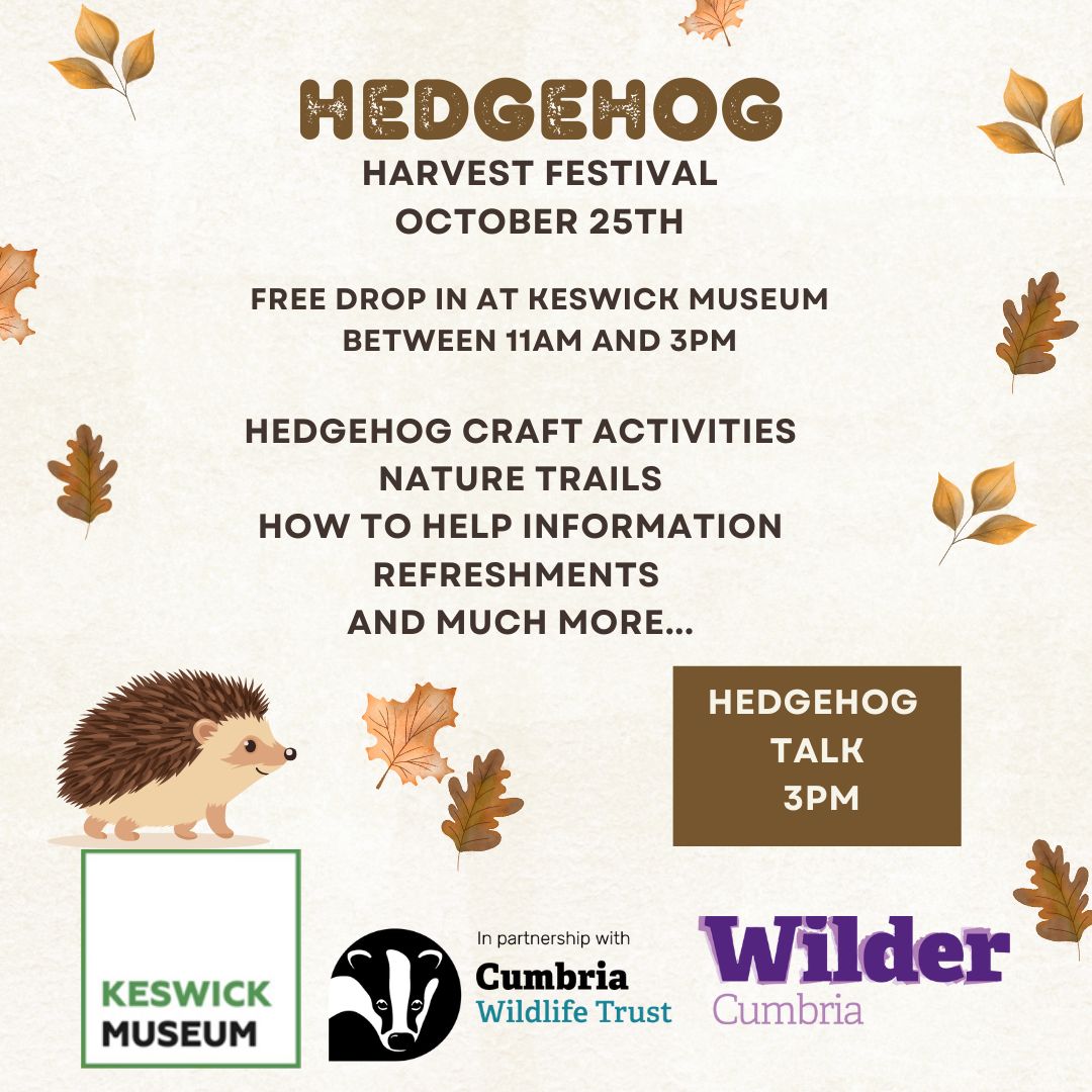 hedgehog (instagram post).png