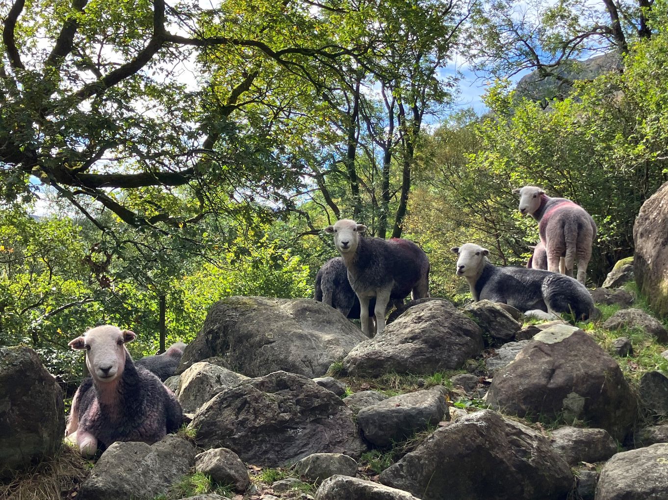 Guided walk: Farming with nature