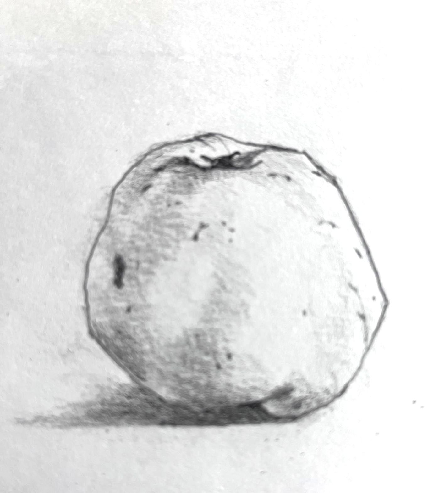 Learn to Draw mornings Series of 3 Thursday mornings ~ Lyn Evans