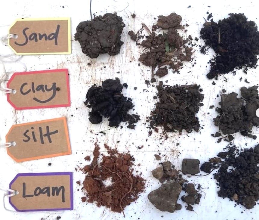 Design & Plan your own Garden - 2 days with Shelagh Todd - lecturer, garden designer & plantswoman