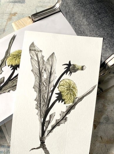 Tetra Pak Printmaking Workshop with Jenny McCabe