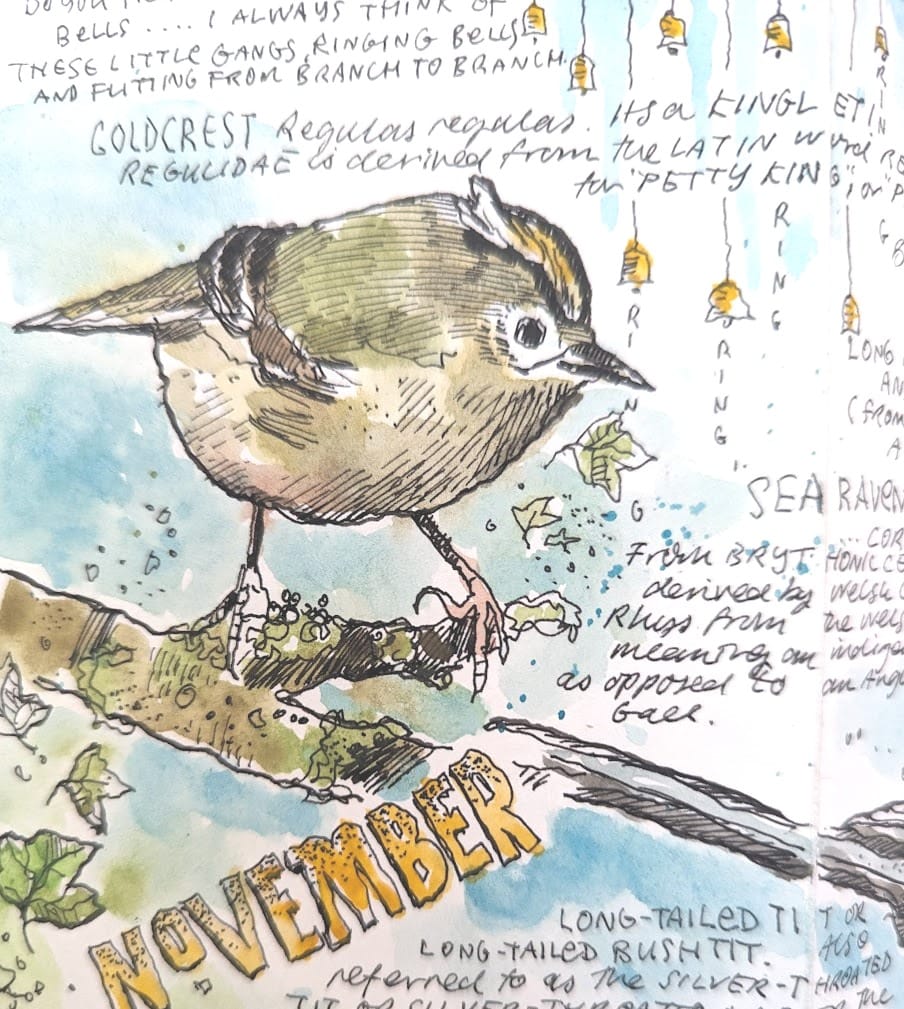 'Shortcut to Nature Journalling' with Steve Pardue