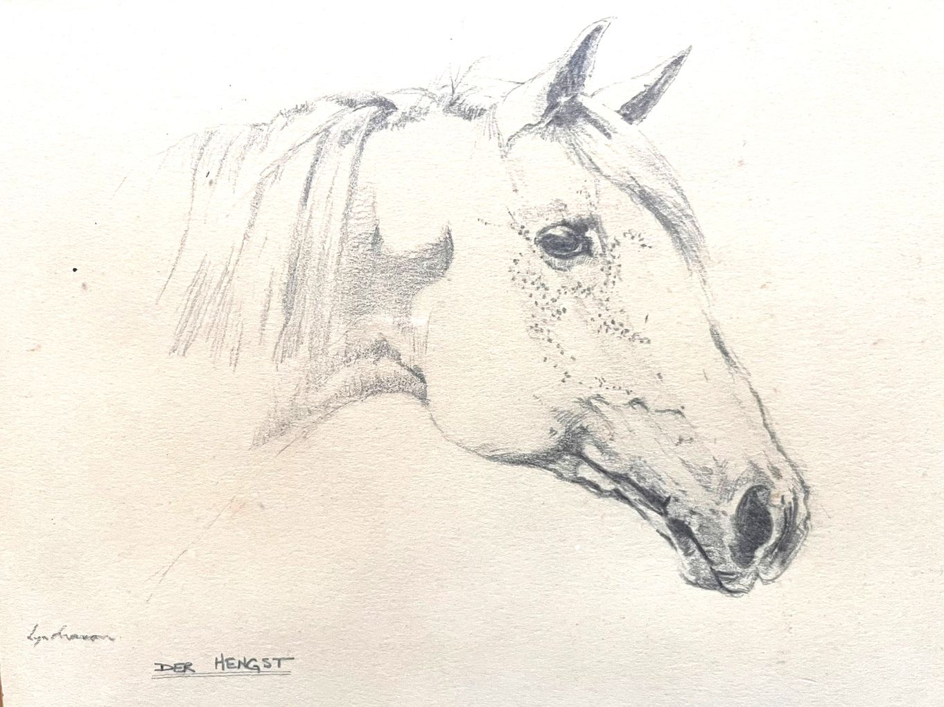 Learn to Draw mornings Series of 3 Thursday mornings ~ Lyn Evans