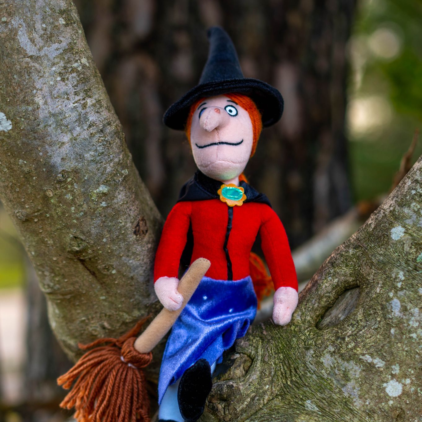 Room on the Broom Cauldron Walk at Whinlatter Forest