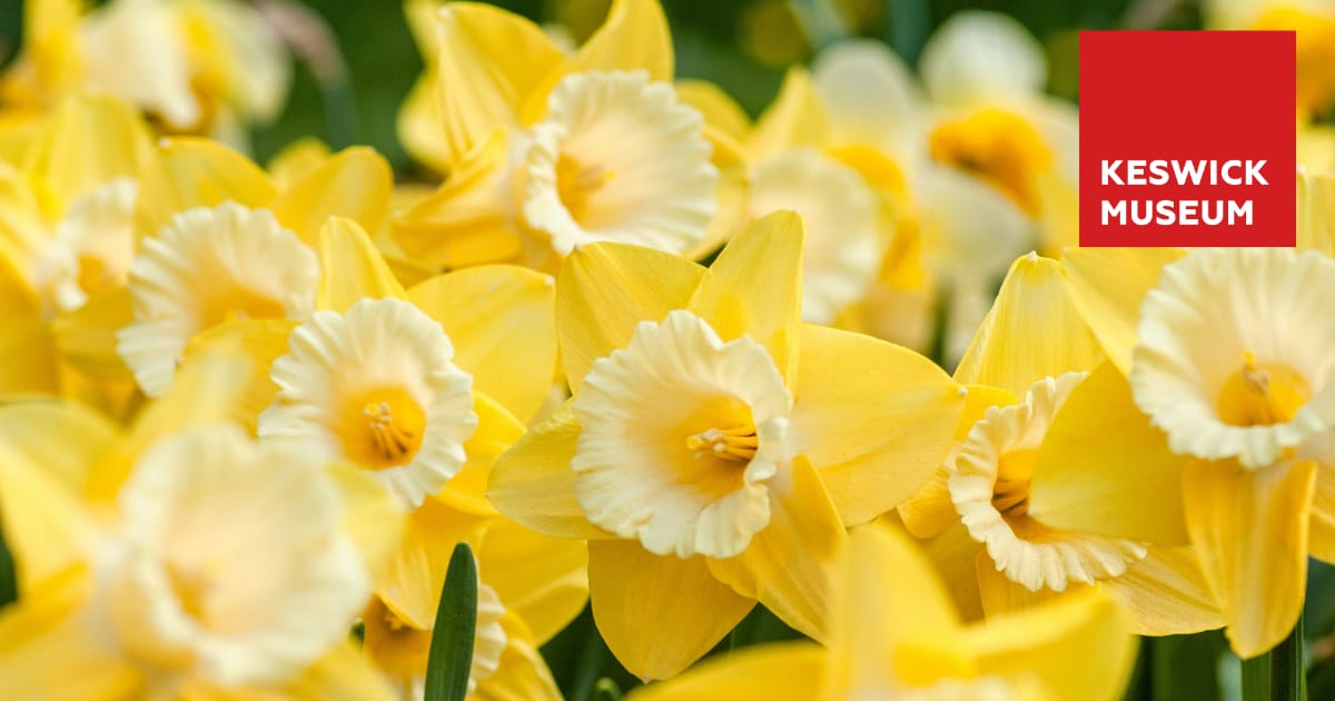 km easter crafts - facebook.png