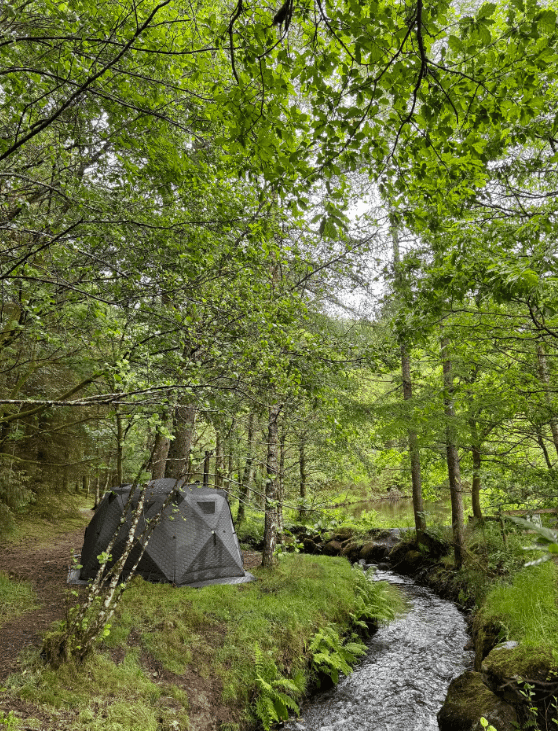 Wild Sauna & Forest Plunge