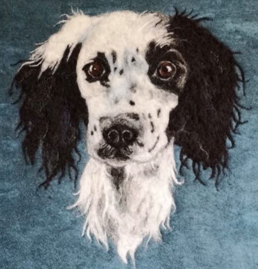 Needle Felt an Animal -or Pet - Portrait ~ with Jane Makes 