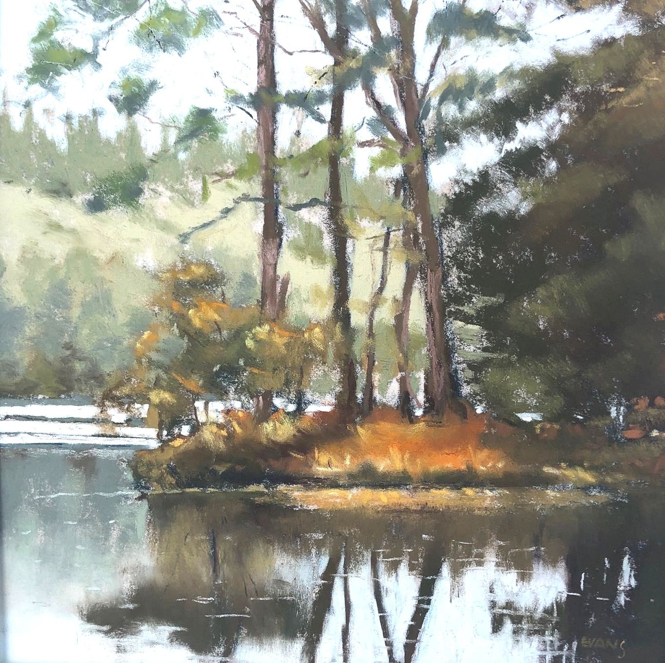 Discovering Soft Pastels ~ with Lyn Evans