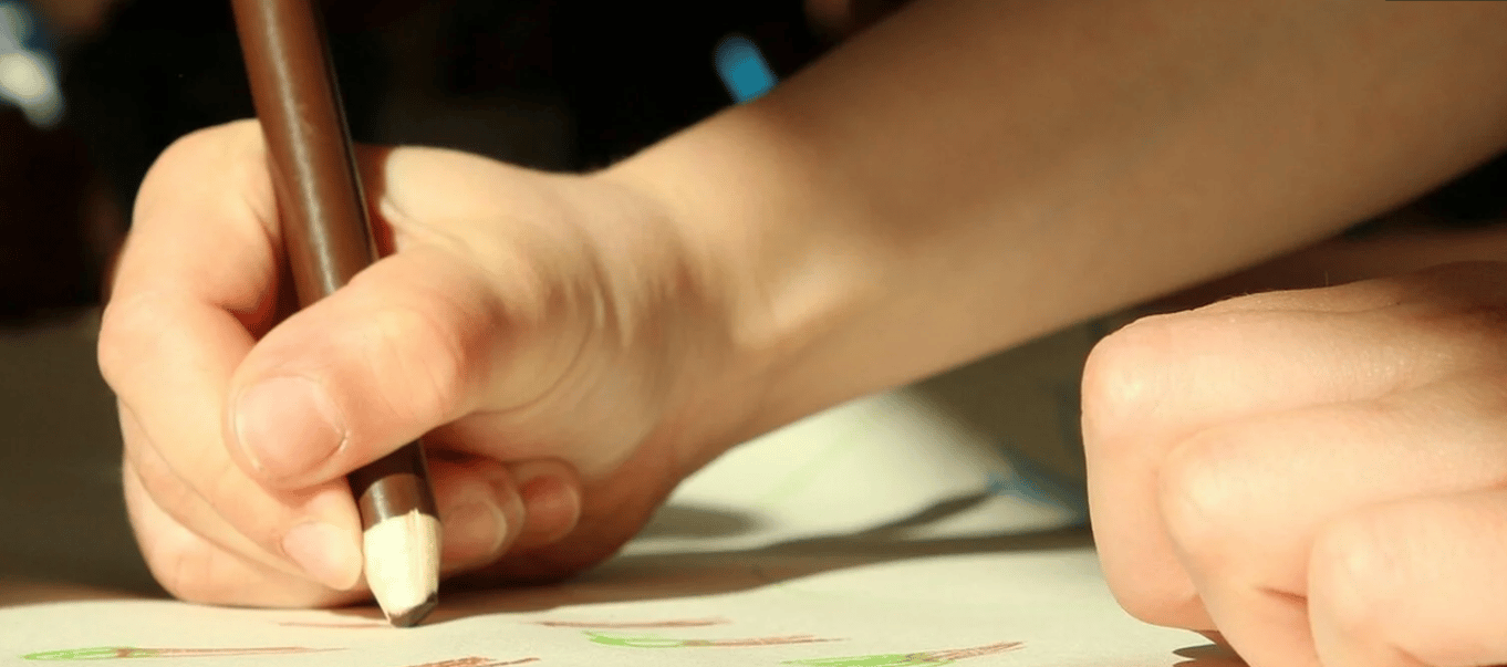 Forest Art for Children