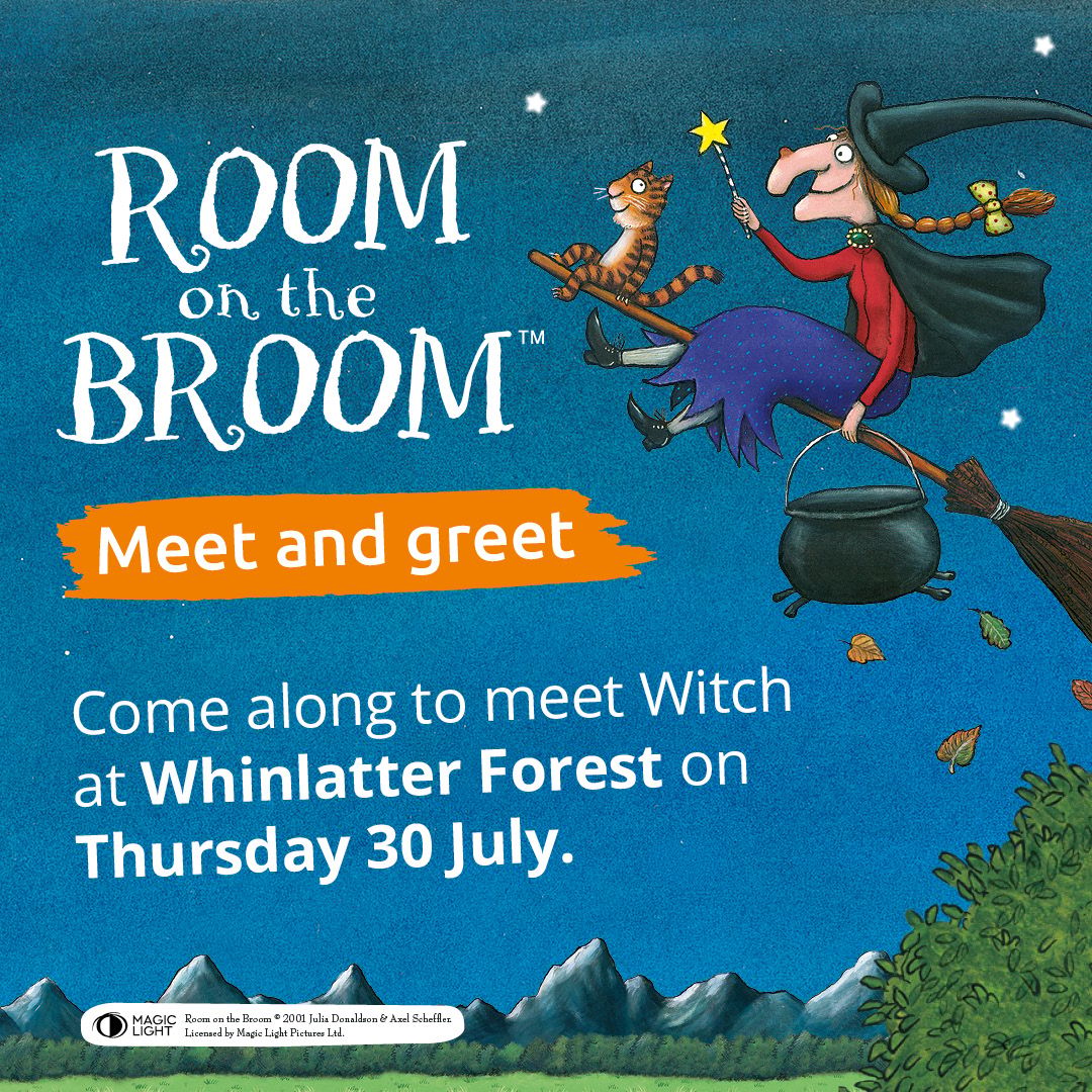 Room on the Broom fun day