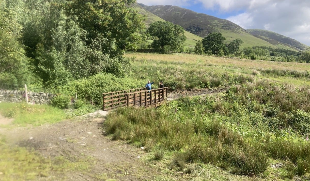 Dam Mire Wood Community Day
