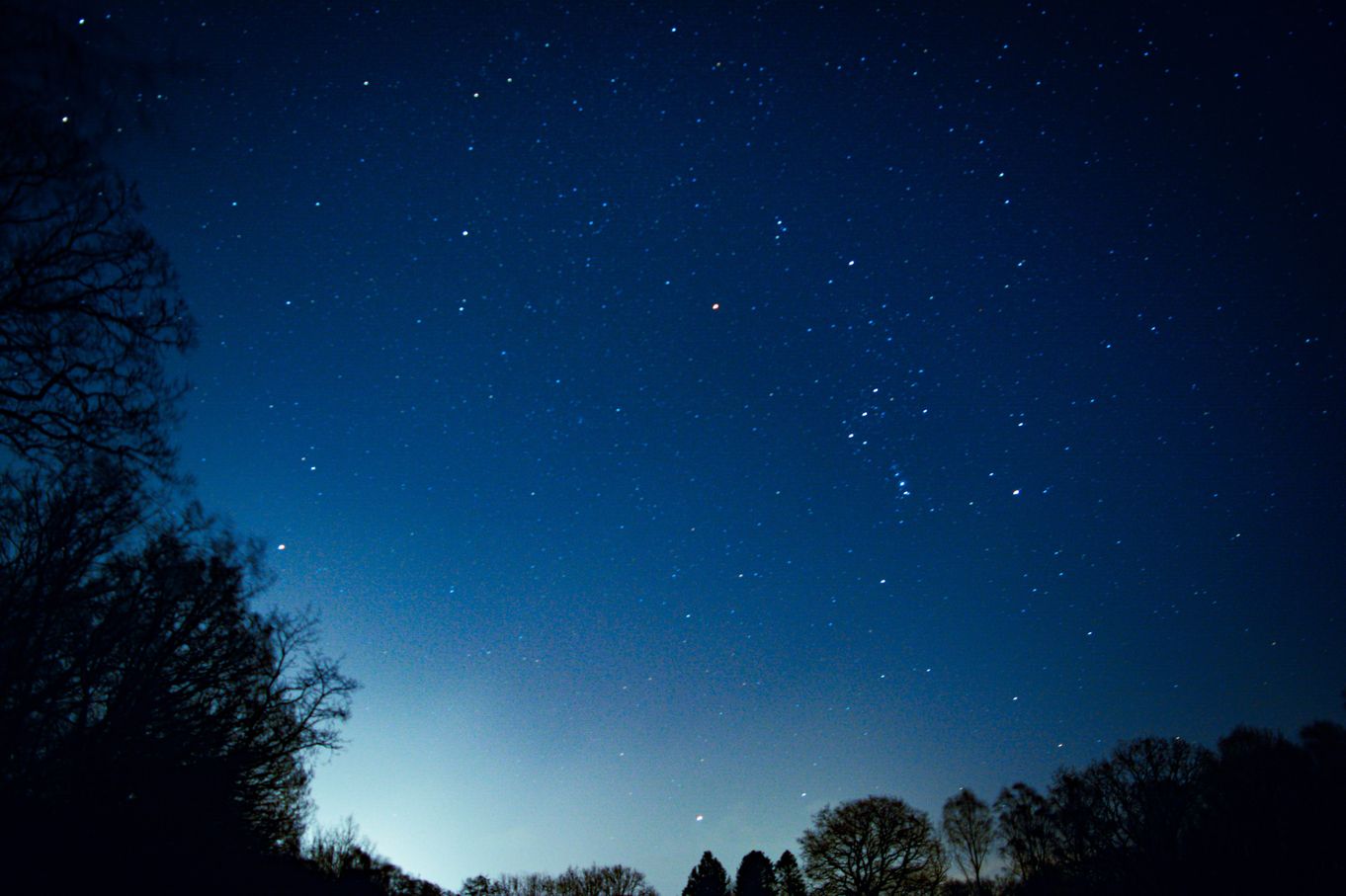 Nature's Nightlife Family Walk at Whinlatter Forest
