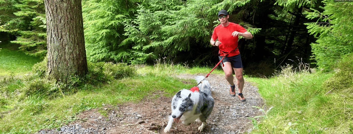 Lakeland Paws canicross series
