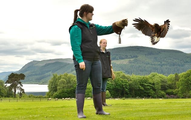 Lake District Wildlife Park